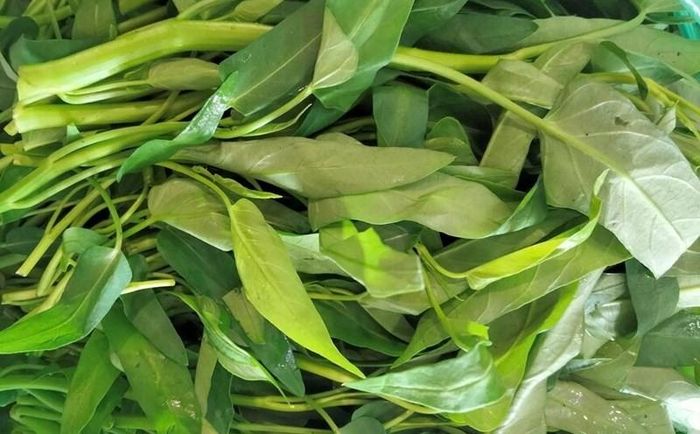 Rau muống ngon nên là loại rau non, cọng nhỏ, màu xanh tươi và không bị dập nát. Ảnh minh họa