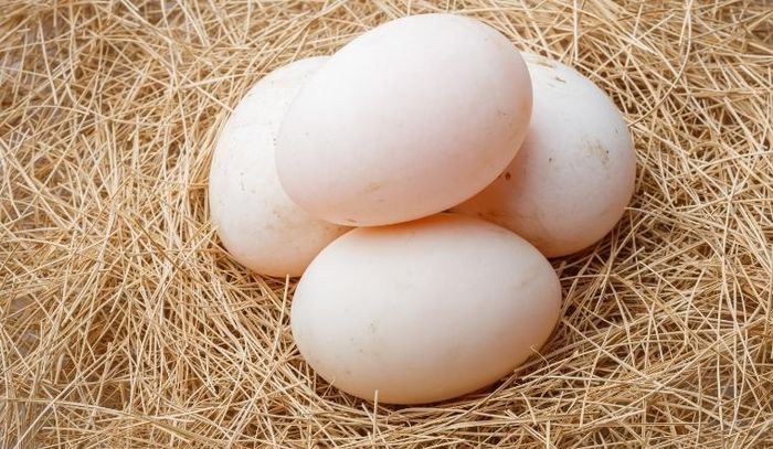 Trứng vịt cung cấp nhiều năng lượng hơn do chứa lượng chất béo cao hơn. Ảnh minh họa