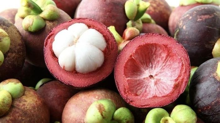 Nên chọn những quả măng cụt có kích thước vừa phải, không nên chọn những quả quá to hoặc quá nhỏ. Ảnh minh họa