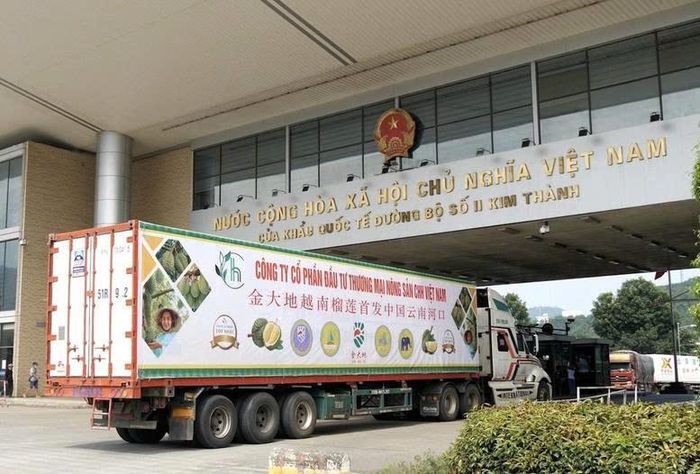 Tỉnh Lâm Đồng đã định hướng quy hoạch phát triển 11 trung tâm logistics tại nhiều khu vực trọng điểm như Phan Thiết, Vĩnh Tân, Đức Trọng, Bảo Lộc, Đắk R’Lấp, Phú Quý và các khu vực liên kết vùng, nhằm hình thành mạng lưới logistics hiện đại, giảm chi phí vận chuyển và nâng cao năng lực cạnh tranh hàng hóa xuất khẩu