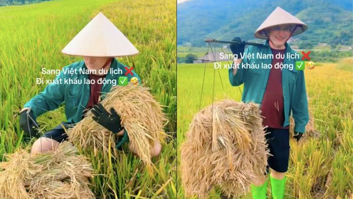 Nhiều du khách quốc tế rất thích đến Việt Nam để trải nghiệm làm nông dân. (Ảnh chụp màn hình)