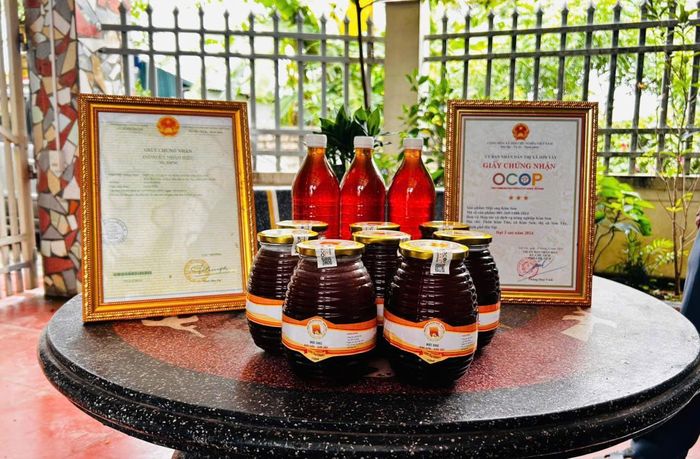 Mật ong Kim Sơn – sản phẩm OCOP tiêu biểu của xã Đoài Phương, đang từng bước mở rộng thị trường tiêu thụ. Ảnh: Trần Hằng