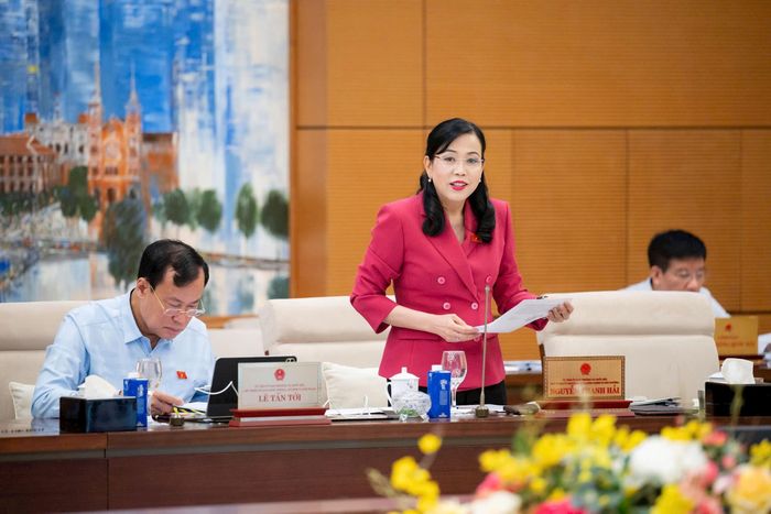 Chủ nhiệm Ủy ban Khoa học - Công nghệ và Môi trường của Quốc hội Nguyễn Thanh Hải thảo luận tại phiên họp. Ảnh: media.quochoi.vn