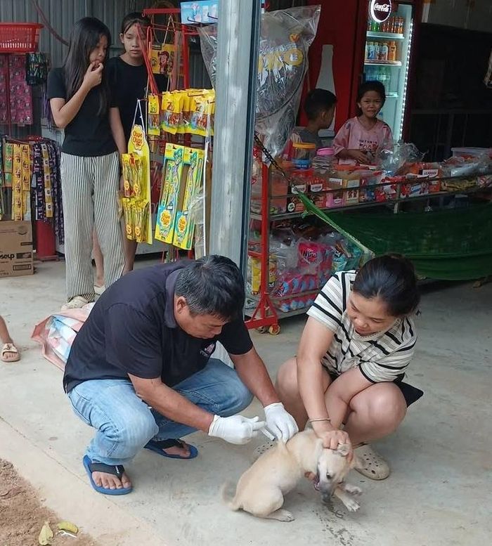 Các hộ gia đình cần thực hiện tiêm phòng đầy đủ cho chó, mèo; quản lý vật nuôi theo hướng dẫn của cơ quan thú y, không thả rông nhằm hạn chế nguy cơ lây truyền bệnh trong cộng đồng.