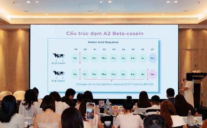 Cấu trúc phân tử của đạm beta-casein A2 giúp ngăn chặn hình thành BCM-7, từ đó giúp hỗ trợ tiêu hóa tốt hơn.