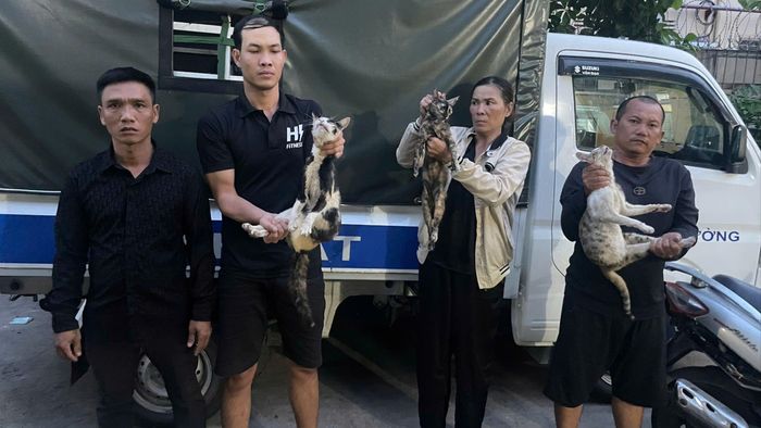 Các nghi phạm khai nhận đã tổ chức bẫy bắt, thu gom mèo trên nhiều địa bàn trong thời gian dài để bán kiếm lời. Ảnh: CA