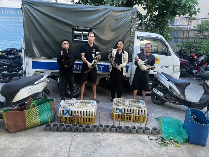 Cơ quan điều tra ghi nhận số lượng mèo thu giữ đặc biệt lớn, cho thấy quy mô hoạt động của đường dây này. Ảnh: CA