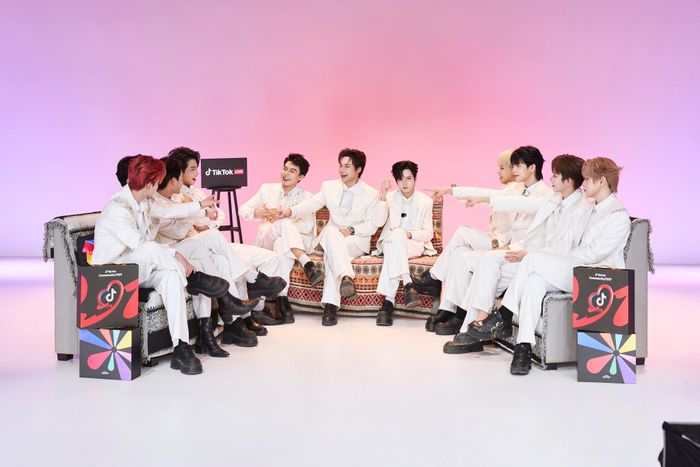  Đại diện ST_Twilightcho biết trong tương lai, nhóm không muốn chỉ dừng lại ở livestream. Team đặt mục tiêu xây dựng hình ảnh cá nhân chuyên nghiệp cho từng thành viên, từ profile, kỹ năng trình diễn đến khả năng làm việc với nhãn hàng. Bảo cho rằng thị trường idol live tại Việt Nam vẫn còn nhiều dư địa phát triển, không chỉ là công việc ngắn hạn trong 1-2 năm. Theo anh, khi khán giả quen hơn với mô hình nhóm biểu diễn trên nền tảng số, các nhóm idol live có thể mở rộng sang nhiều hoạt động giải trí khác.