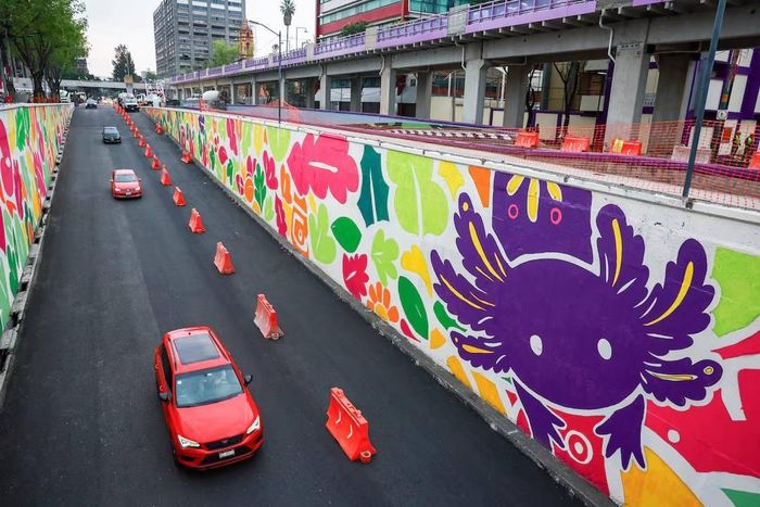 Các phương tiện lưu thông qua một hầm chui được trang trí bằng hình ảnh kỳ nhông axolotl tại Thủ đô Mexico, ngày 19/5.