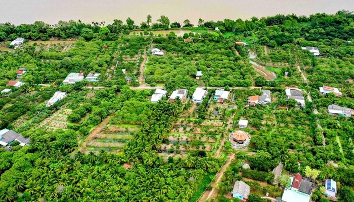 Cồn Mỹ Phước đã trở thành một trong những điểm du lịch sinh thái nổi bật của khu vực Đồng bằng sông Cửu Long nhờ hệ thống vườn cây ăn trái xanh tốt quanh năm