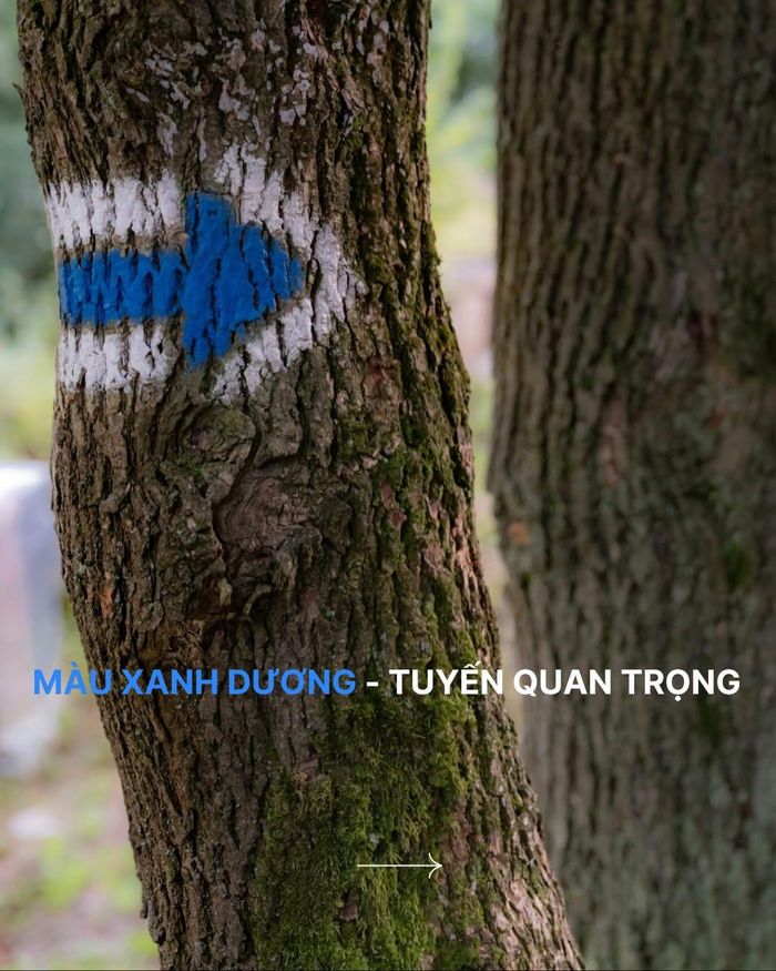 Bảng màu chỉ dẫn của hệ thống chỉ dẫn đường mòn tại Séc gồm các màu cơ bản: Xanh lá cây, xanh da trời, vàng và đỏ.