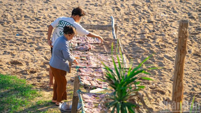 Người dân tranh thủ thời gian nắng lên ấm áp để phơi các loại hải sản.