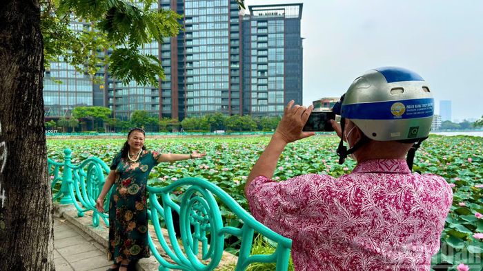 Đầm sen thơ mộng bên mặt nước Hồ Tây đã trở thành nét đẹp khó quên của Hà Nội mỗi độ hè về. Người dân tìm đến đây để ngắm sen, chụp ảnh và tận hưởng hương sen cùng làn gió mát đặc trưng của Hồ Tây.