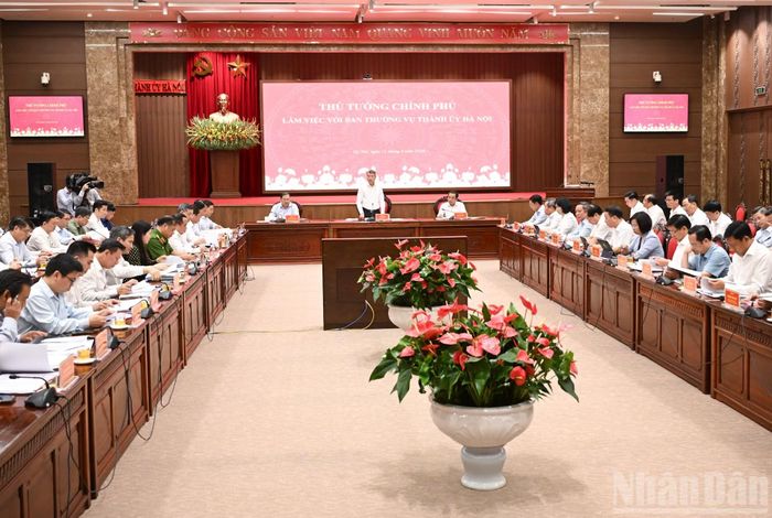 Quang cảnh cuộc làm việc.