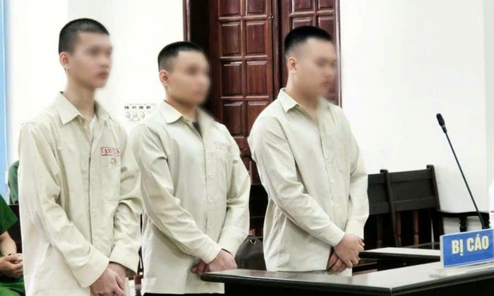 3 bị cáo lần lượt từ trái qua: Lê Việt Hoàng, Nguyễn Văn Tới và Vũ Quang Quỳnh tại tòa. (Ảnh Tuấn Dương).
