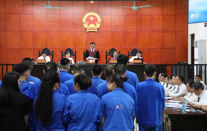 Thẩm phán Nguyễn Nhật Duật, Phó Chánh tòa Hình sự TAND tỉnh Quảng Ninh, Chủ tọa phiên tòa nhấn mạnh, cái giá phải trả cho sự liều lĩnh, coi thường pháp luật và đánh đổi tương lai bằng con đường phạm tội là vô cùng đắt.