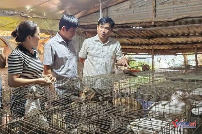 Ông Nguyễn Văn Anh (phải), thăm một trại nuôi thỏ trên địa bàn. Ảnh: VA