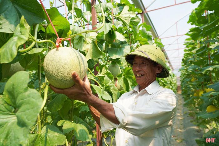 Nông dân Hà Tĩnh thi đua lao động, sản xuất giỏi.