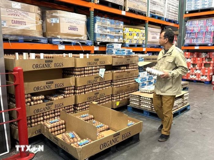 Người dân chọn mua trứng tại một siêu thị ở bang Maryland. (Ảnh: Đoàn Hùng/TTXVN)