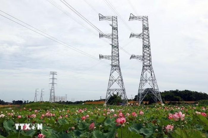Công trình đường dây 500kV mạch 3 Quảng Trạch-Phố Nối là phong trào thi đua yêu nước, lao động sáng tạo, quyết liệt, thần tốc của toàn hệ thống chính trị, các bộ ngành, địa phương và công nhân ngành điện, nhằm giải quyết cấp bách tình trạng thiếu điện miền Bắc. (Ảnh: Huy Hùng/TTXVN)