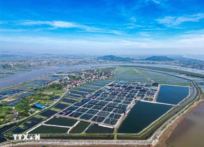 Chuyển mạnh từ “quản lý biển” sang “quản trị biển.” (Ảnh minh họa. Nguồn ảnh: TTXVN)