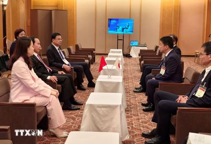 Phó Thủ tướng Lê Tiến Châu mong Chính phủ Nhật Bản, các địa phương và tổ chức, doanh nghiệp tiếp tục quan tâm, tạo điều kiện thuận lợi cho cộng đồng người Việt Nam. (Ảnh: Bùi Hà/TTXVN)