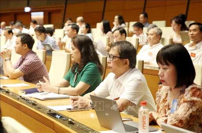 Đại biểu tham dự hội nghị. Ảnh: Phương Hoa/TTXVN