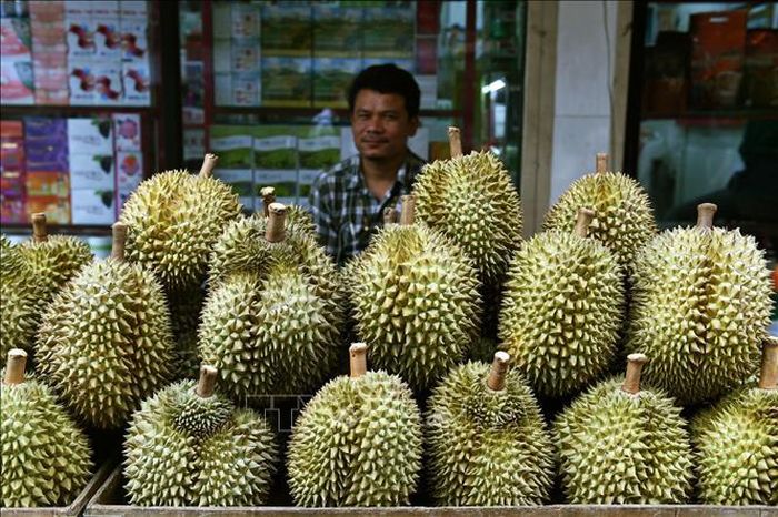 Sầu riêng được bày bán tại Bangkok, Thái Lan. Ảnh tư liệu: AFP/TTXVN