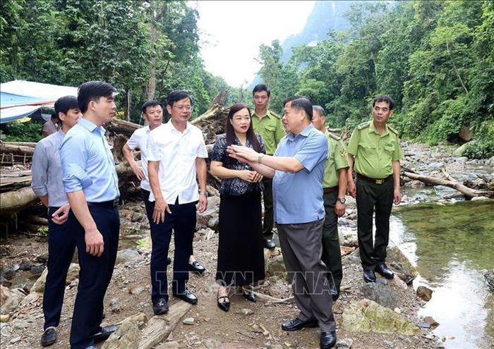 Phó Chủ tịch UBND tỉnh Phú Thọ Đinh Công Sứ cùng đoàn công tác khảo sát thực tế công tác quản lý, bảo vệ, khai thác và phát triển tài nguyên rừng tại Vườn quốc gia Xuân Sơn.