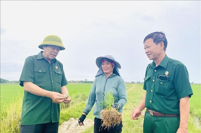 Cựu chiến binh Nguyễn Duy Viên (ngoài cùng, bên trái) luôn sát cánh cùng người dân địa phương phát triển kinh tế.