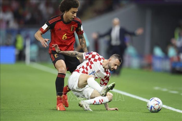 Pha tranh bóng giữa cầu thủ Bỉ Axel Witsel (trái) và Marcelo Brozovic đội Croatia trong trận đấu ngày 1/12/2022 tại World Cup 2022. Ảnh tư liệu - minh họa: THX/TTXVN
