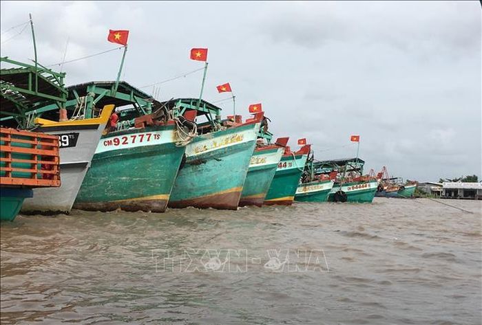 Cà Mau có đội tàu khai thác thủy hải sản lớn. Ảnh tư liệu: Thế Anh/TTXVN
