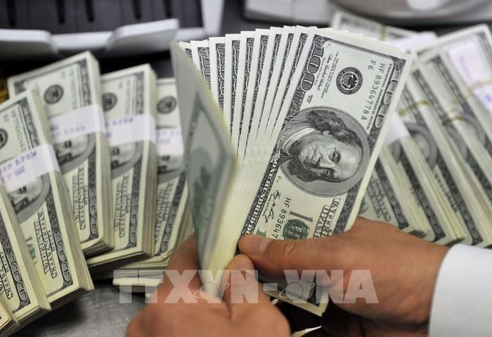 Tỷ giá hôm nay 11/6. Ảnh: AFP/TTXVN