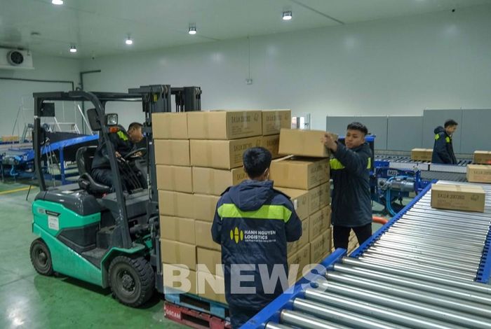 Bên trong kho lạnh của Công ty CP Hạnh Nguyên Logistics, thành phố Cần Thơ. Ảnh: Thanh Liêm-TTXVN