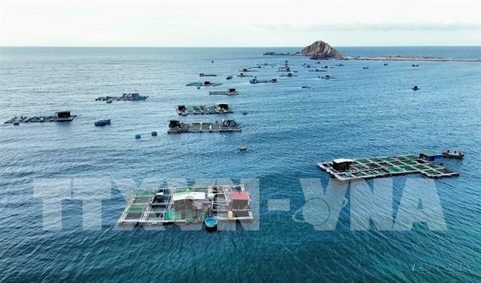 Mô hình nuôi tôm hùm, cá biển trong lồng bè áp dụng công nghệ mới tại xã Ninh Hải (Khánh Hòa). Ảnh Nguyễn Thành - TTXVN