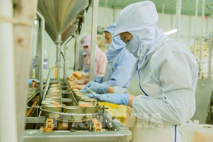 Thực phẩm đóng hộp là một trong những sản phẩm xuất khẩu thế mạnh của tỉnh An Giang. Ảnh: Văn Sĩ - TTXVN