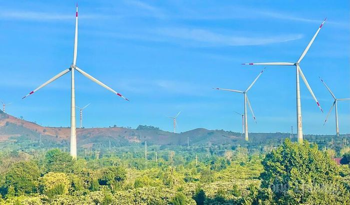 Năng lượng tái tạo là một trong hai lĩnh vực nổi bật nhất về khả năng thu hút đầu tư. Ảnh: Hiền Mai