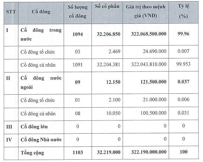 Cơ cấu cổ đông DST tại cuối 2025. (Nguồn: Báo cáo thường niên 2025 của DST).