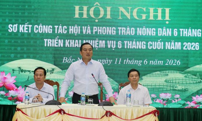 Lãnh đạo Hội Nông dân tỉnh chủ trì hội nghị sơ kết công tác Hội và phong trào nông dân 6 tháng đầu năm, triển khai nhiệm vụ trọng tâm 6 tháng cuối năm 2026. 