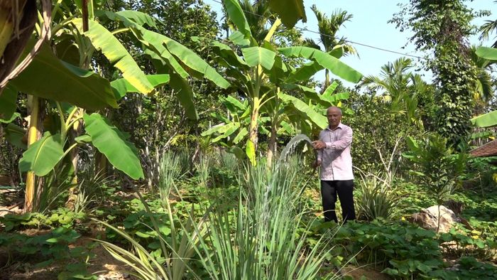 Nông dân chủ động duy trì nguồn nước dự trữ, thực hiện tưới thường xuyên để bảo vệ cây trồng. Ảnh: HOÀNG ĐẠO