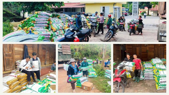 Xã Quảng Lâm, Nậm Kè cấp phát giống lúa, phân bón cho người dân sản xuất vụ mùa 2026.