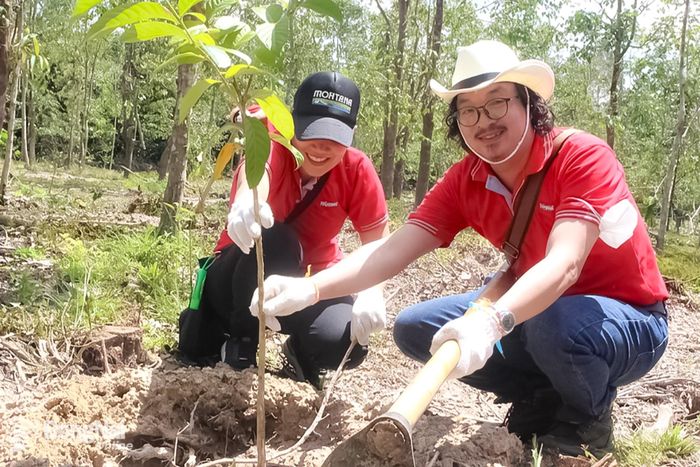 Trồng rừng tại Khu Bảo tồn thiên nhiên - văn hóa Đồng Nai. Ảnh: Hoàng Lộc
