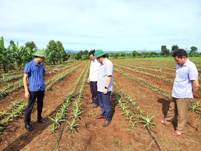  Năng lực nắm bắt thực tiễn và giải quyết kịp thời các vấn đề phát sinh từ cơ sở là yêu cầu ngày càng cao đối với cán bộ lãnh đạo cấp xã. Ảnh: NVCC 