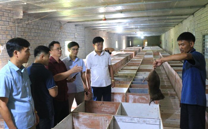 Đoàn công tác của tỉnh và xã Mường Tè tham quan mô hình nuôi dúi của HTX nông nghiệp HTB (bản Nậm Củm, xã Mường Tè).