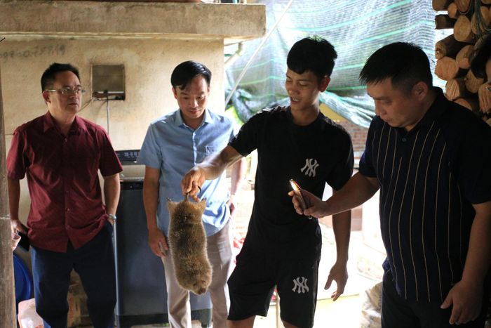 … tham quan mô hình chăn nuôi dúi của gia đình ông Tống Văn Kỷ (bản Nậm Củm, xã Mường Tè).