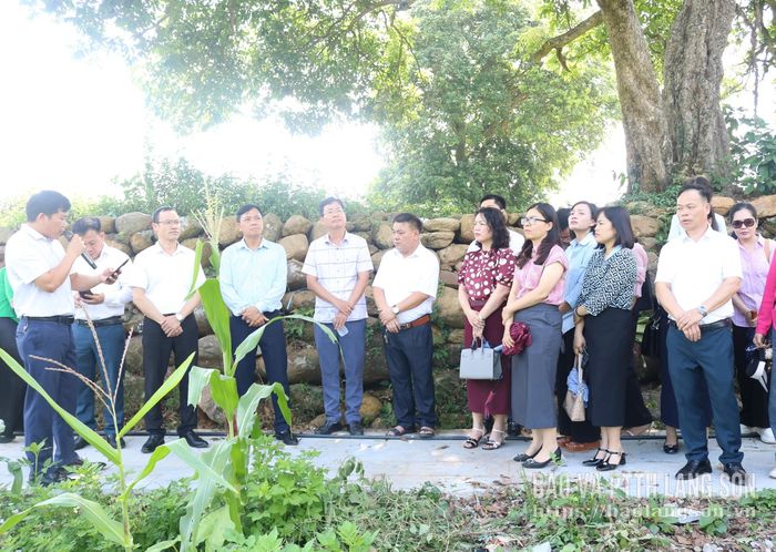 Các đảng viên nghe giới thiệu về làng đá Thạch Khuyên