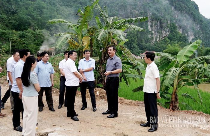 Đồng chí Nguyễn Cảnh Toàn, Phó Bí thư Tỉnh ủy, Chủ tịch UBND tỉnh và các thành viên đoàn công tác kiểm tra thực tế khu vực thực hiện dự án Nhà máy chế biến hoa hồi Lạng Sơn