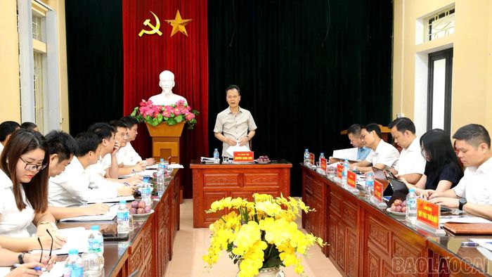 Phó Chủ tịch UBND tỉnh Nguyễn Thành Sinh phát biểu kết luận buổi làm việc.
