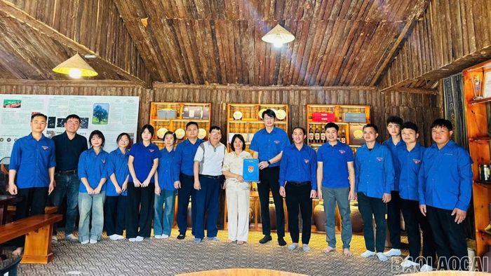 Giai đoạn 2024 - 2026, các cấp bộ hội đã xây dựng được 07 mô hình thanh niên khởi nghiệp, thành lập 13 tổ hợp tác, 04 hợp tác xã do thanh niên làm chủ.
