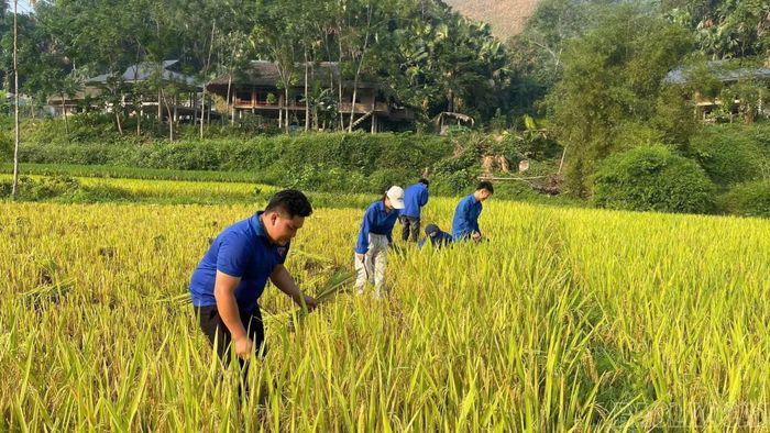 Phong trào "Tôi yêu Tổ quốc tôi" tạo sức lan tỏa mạnh mẽ trong lực lượng thanh niên toàn tỉnh.